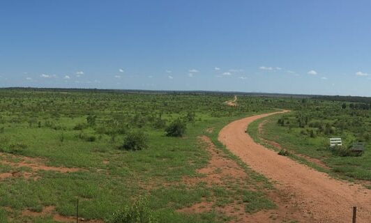 panoramic view of the bush in Emerald